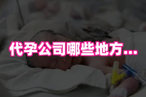 gfg孕网 1