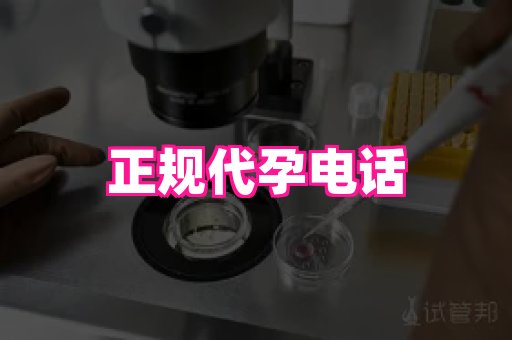gfg孕网 4